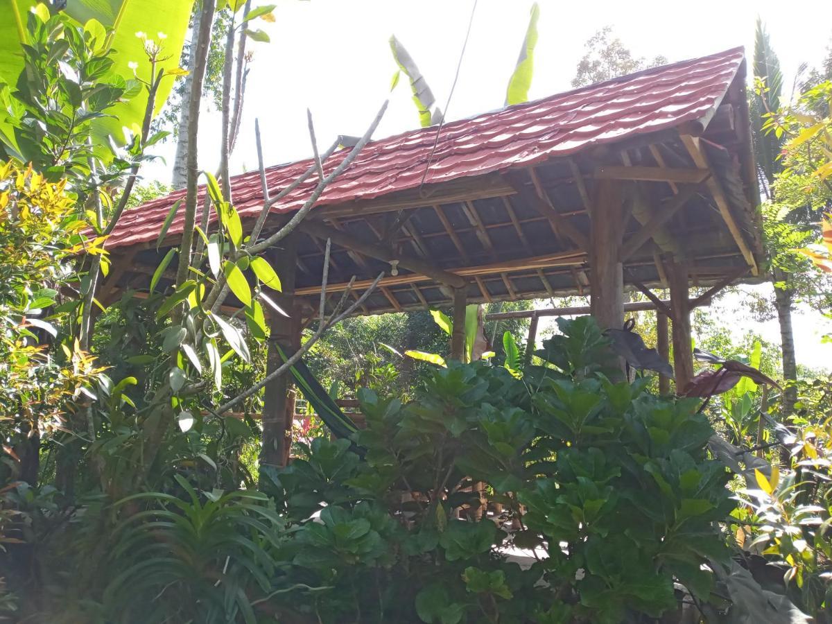 Vanilla Cottage טטבאטו מראה חיצוני תמונה