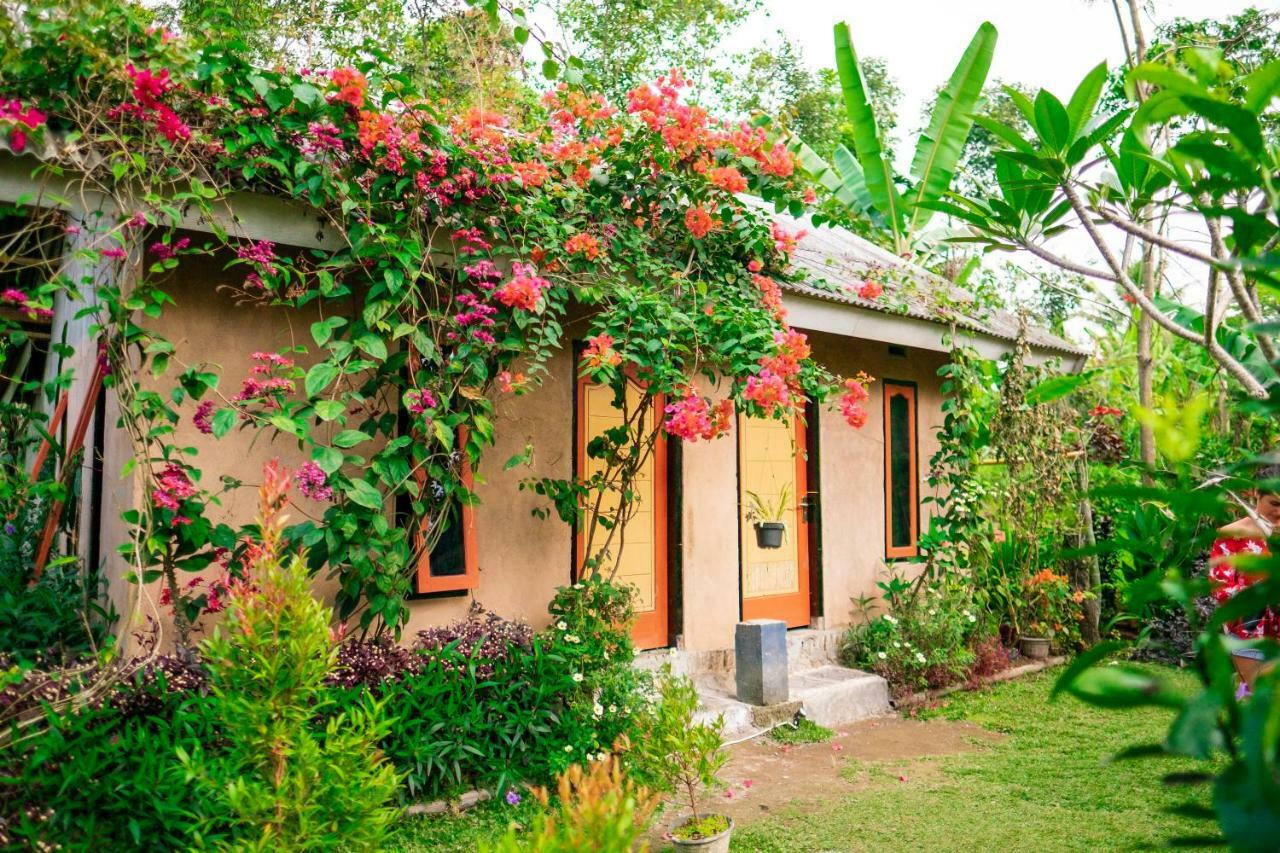 Vanilla Cottage טטבאטו מראה חיצוני תמונה