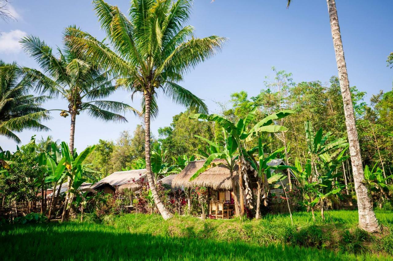 Vanilla Cottage טטבאטו מראה חיצוני תמונה